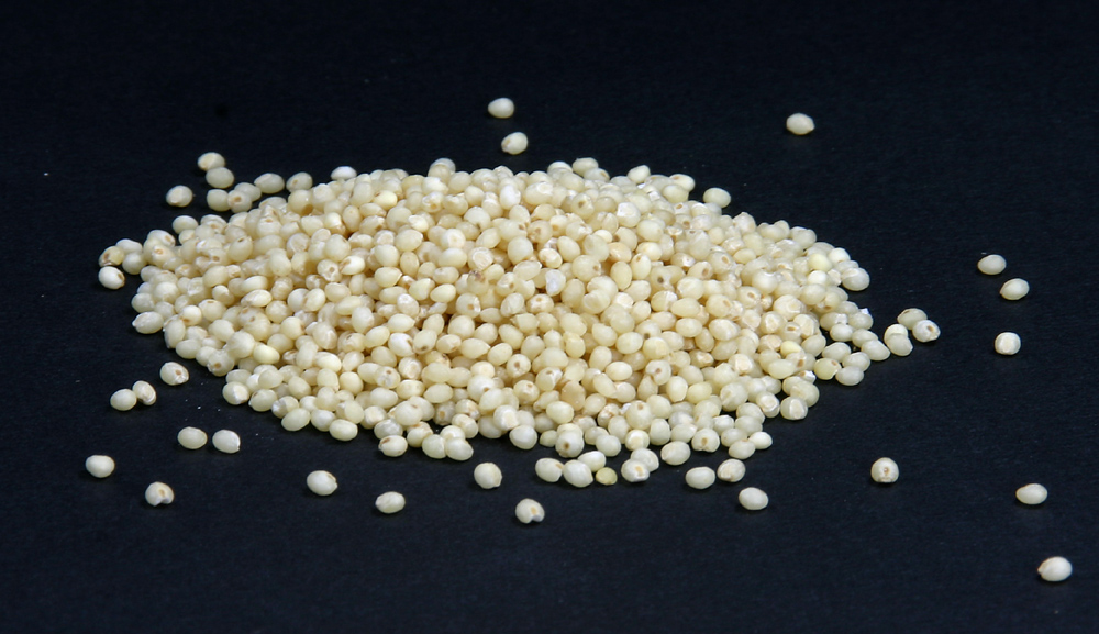 millet grains